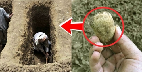 proses pembusukan jenazah