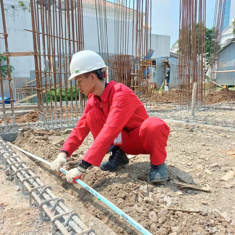 Melindungi Properti dari Ancaman Rayap